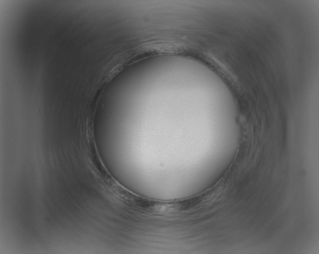X0000075410117200609081012