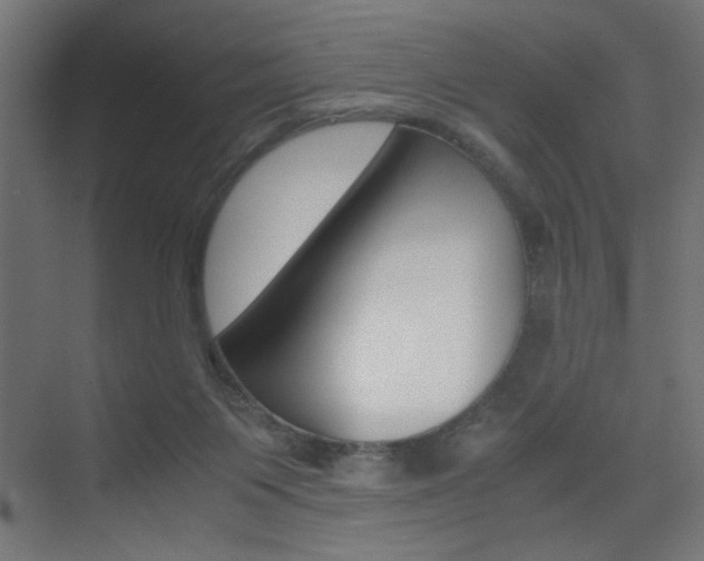 X0000075410119200609081012