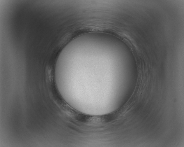 X0000075410123200609081012