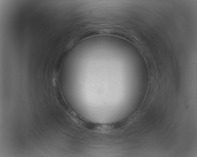 X0000075410125200609081012