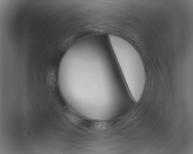 X0000075410127200609081012