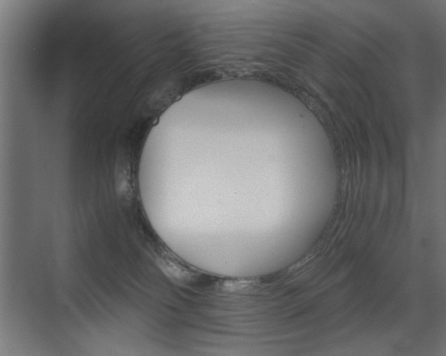 X0000075410134200609081011