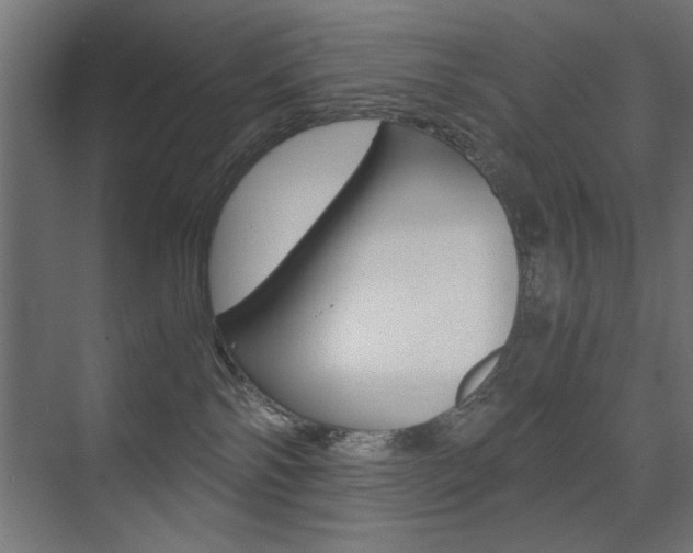 X0000075410138200609081011