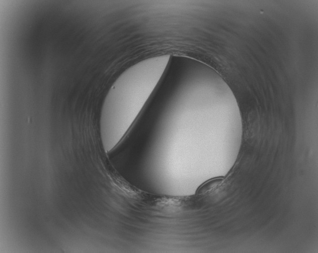 X0000075410140200609081011