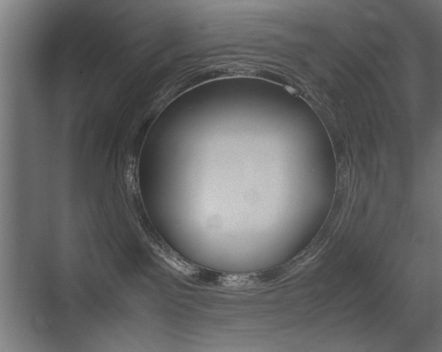 X0000075410141200609081011