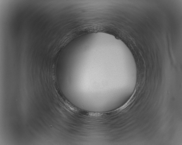 X0000075410144200609081011