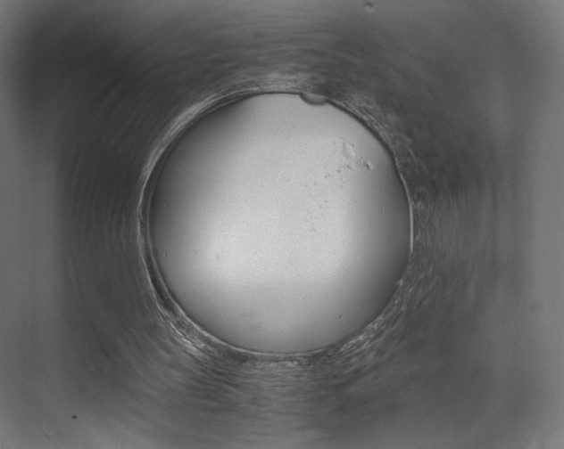 X0000075410147200609081010