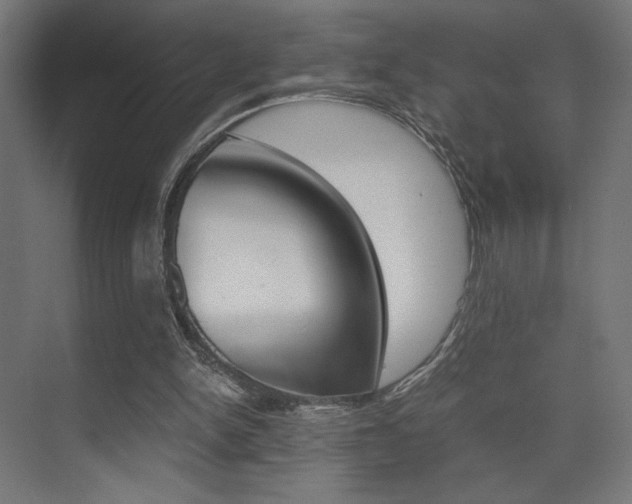 X0000075410150200609081011