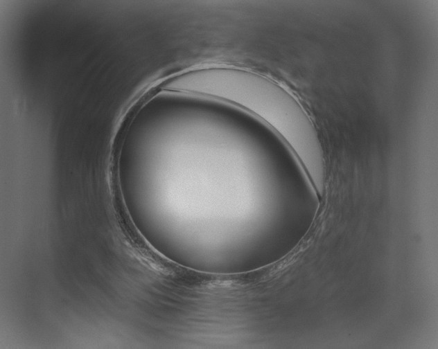 X0000075410152200609081011
