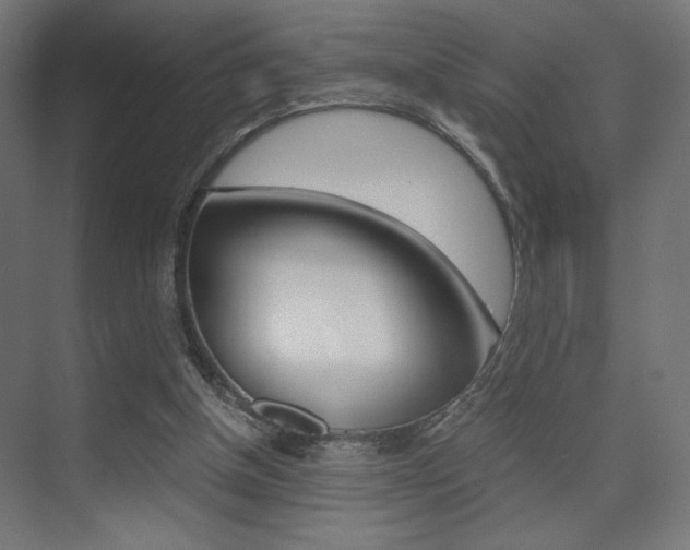 X0000075410154200609081011