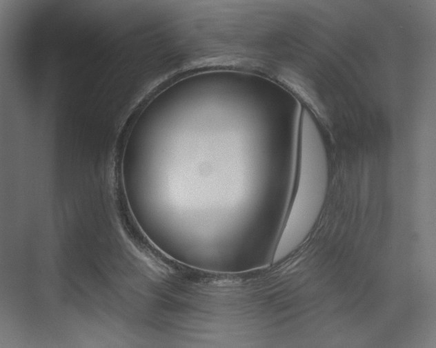 X0000075410156200609081011