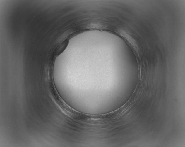 X0000075410157200609081011