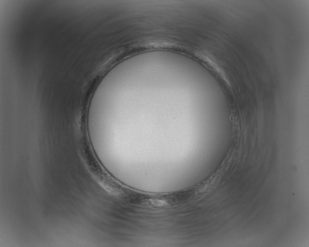 X0000075410159200609081011