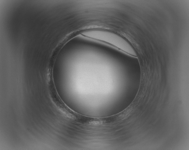 X0000075410160200609081011