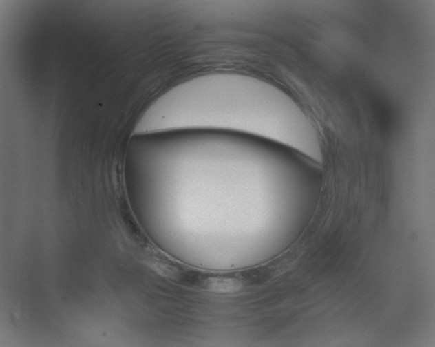 X0000075410169200609081011