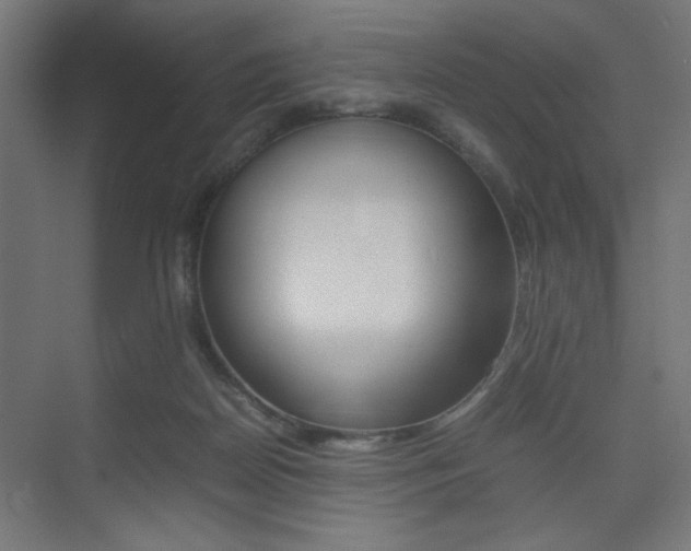 X0000075410170200609081011