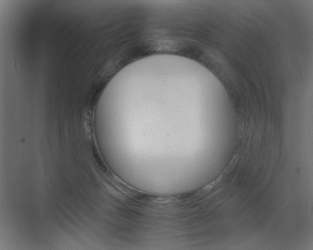 X0000075410175200609081011