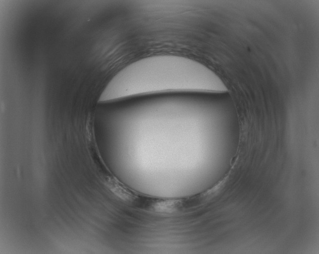 X0000075410178200609081011