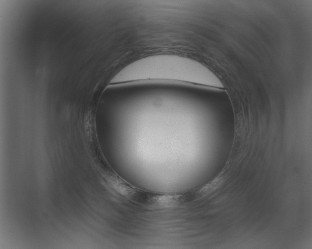 X0000075410184200609081011