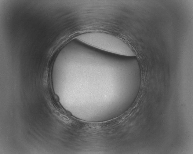 X0000075410194200609081010