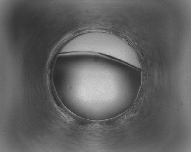 X0000075410197200609081010