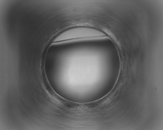 X0000075410201200609081010