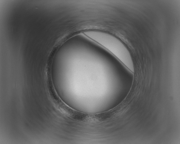X0000075410207200609081010