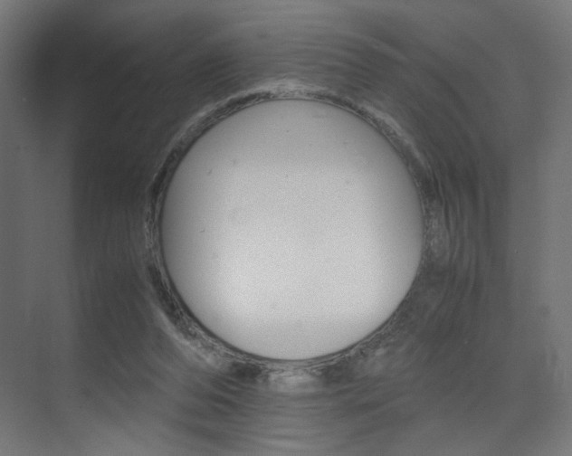 X0000075410208200609081010
