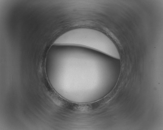 X0000075410209200609081010