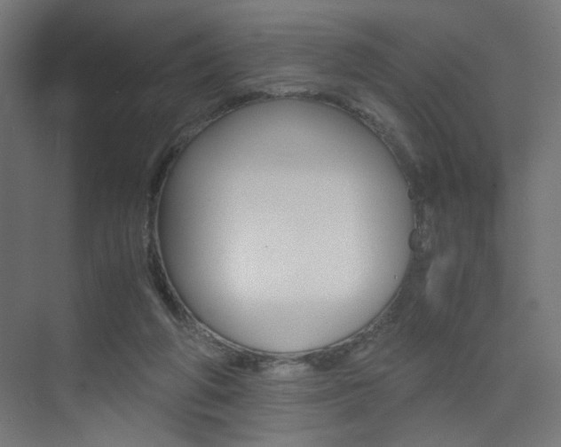 X0000075410210200609081010
