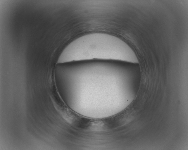 X0000075410214200609081010