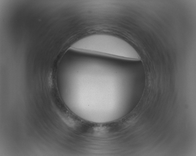 X0000075410216200609081010
