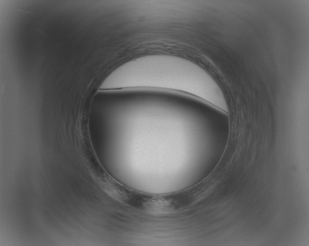 X0000075410217200609081010