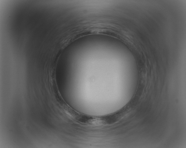 X0000075410219200609081010
