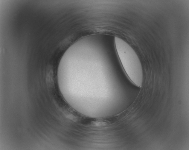 X0000075410220200609081010
