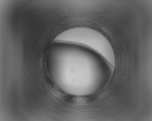X0000075410221200609081010