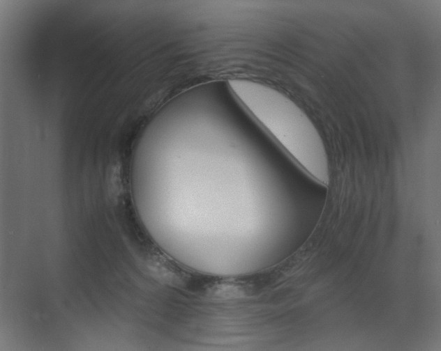 X0000075410224200609081010