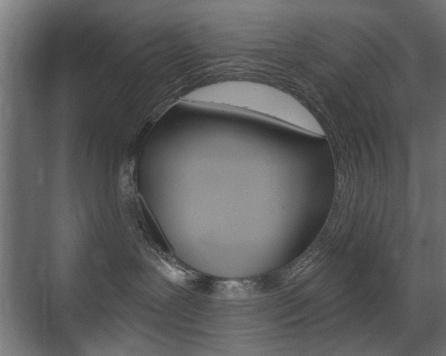 X0000075410239200609081010