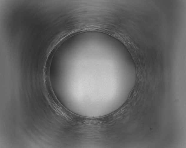X0000075410242200609081009