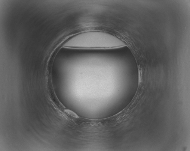 X0000075410243200609081009