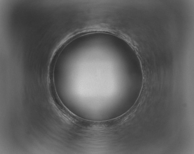 X0000075410248200609081009