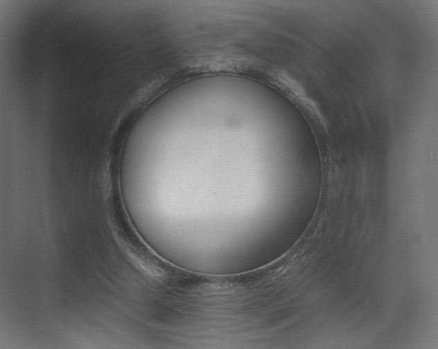 X0000075410250200609081009