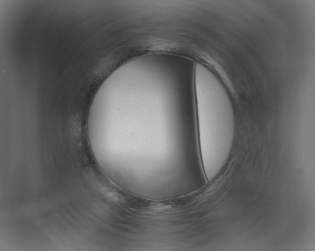 X0000075410257200609081009