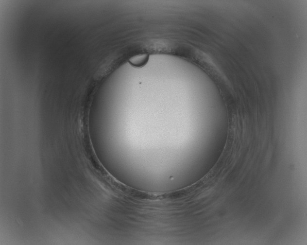 X0000075410259200609081009
