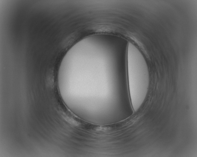 X0000075410261200609081009