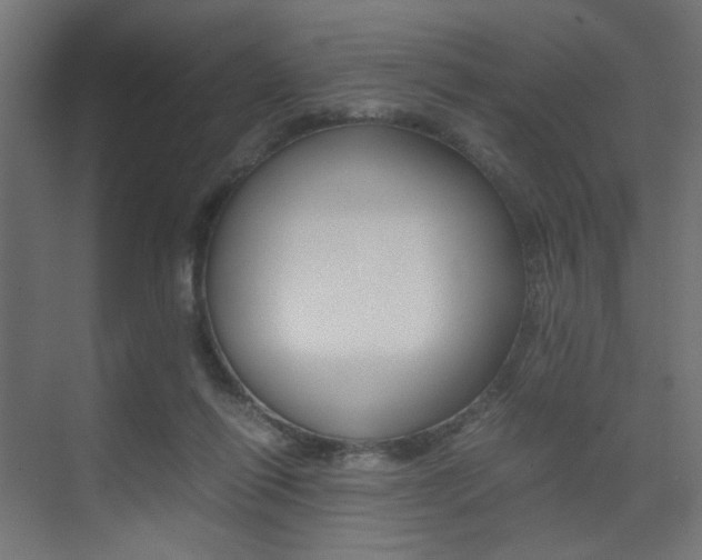 X0000075410262200609081009
