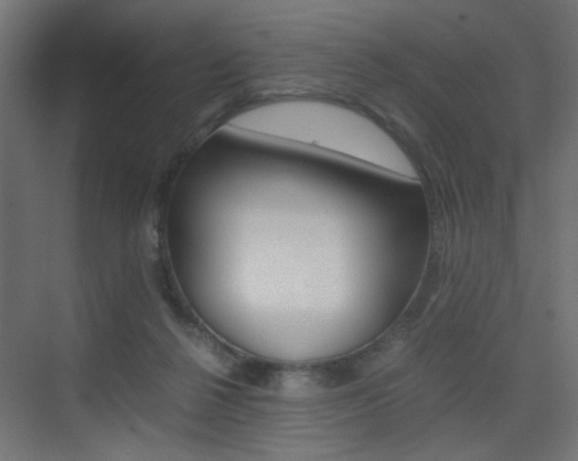X0000075410264200609081009