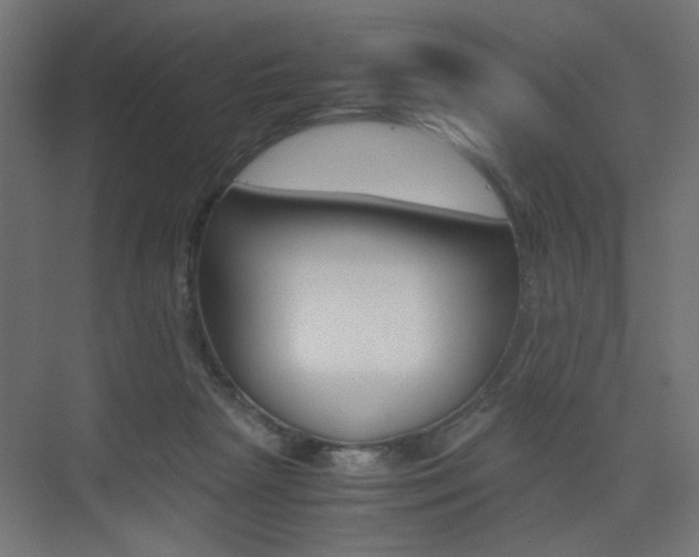 X0000075410265200609081009