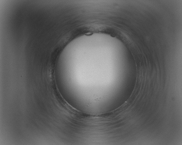 X0000075410268200609081009