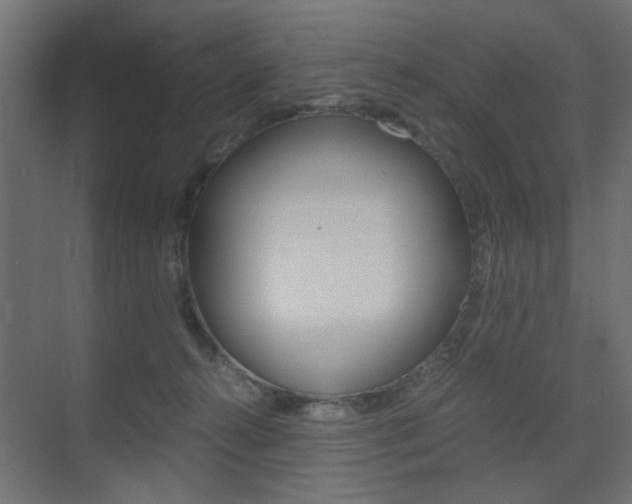 X0000075410272200609081009